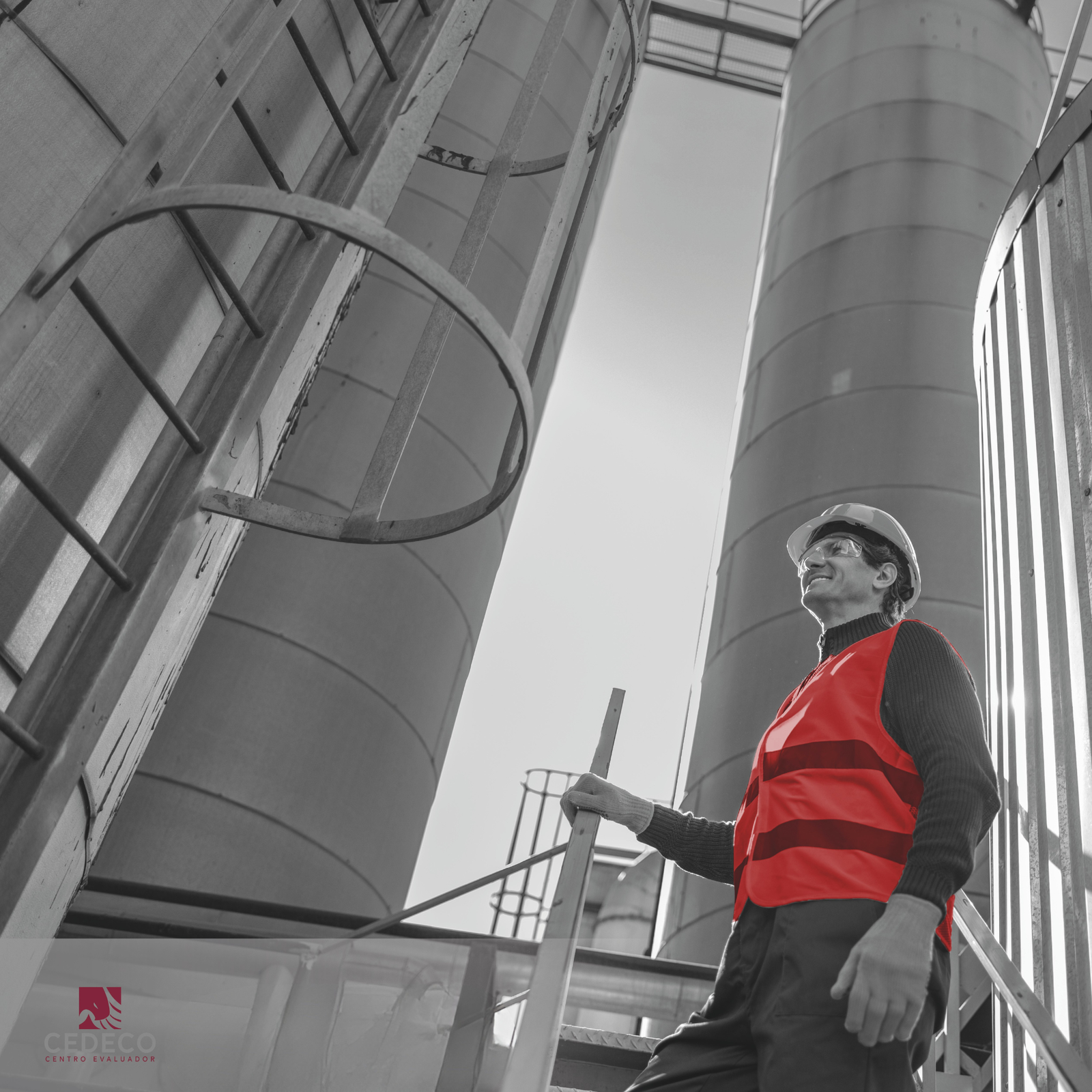 Evaluación en campo